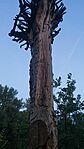 IMG_20260619_210705