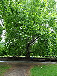 DSC01168