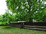 DSC01171