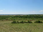 DSC01206