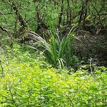 GCMOHO_20260603_130321