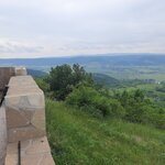 GCWOLF_20260603_110125
