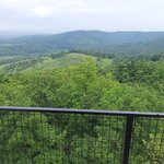 GCWOLF_20260603_110545