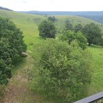 GCWOLF_20260603_110618