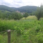 GCBBtt_20260604_111821
