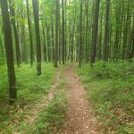 GCBBtt_20260604_114929