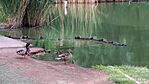 IMG_20260530_095937