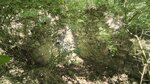log-image-1780926929996-1
