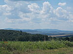 Kelet-Mecsek