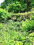 IMG_20260612_123949