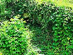IMG_20260612_124042