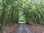 IMG_20260605_122925