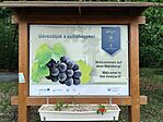 IMG_20260605_124140