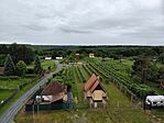 IMG_20260605_125716