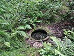 IMG_20260605_141158