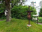 IMG_20260605_142248