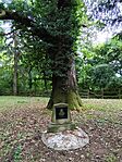 IMG_20260605_153401