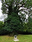 IMG_20260605_153259