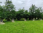IMG_20260605_153121