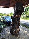 IMG_20260606_173202