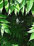 IMG_20260606_174020