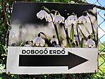 IMG_20260606_130148