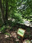 IMG_20260606_132316