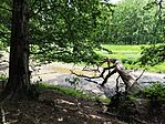 IMG_20260606_132336