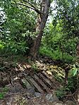 IMG_20260606_143510
