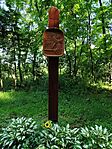 IMG_20260607_085354