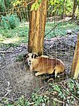 IMG_20260607_082832