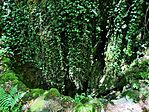 IMG_20260613_140345