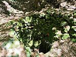 IMG_20260613_140756