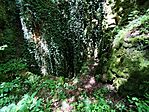 IMG_20260613_143010