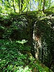 IMG_20260613_143015