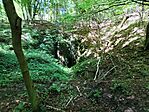IMG_20260613_143137