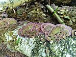 IMG_20260613_143404