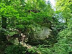 IMG_20260613_110452