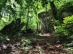 IMG_20260613_110634