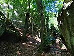 IMG_20260613_110939