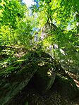 IMG_20260613_110943