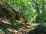 IMG_20260613_112614