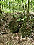 IMG_20260613_120126