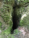IMG_20260613_120150