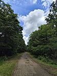 IMG_20260613_122059
