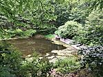 IMG_20260613_123717