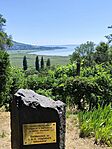 IMG_20260616_110503
