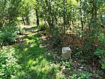 IMG_20260616_133215