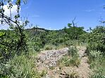 IMG_20260616_113820