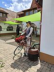 IMG_20260615_142828